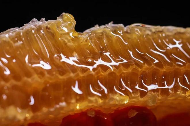 记：庖汤宴、逛庙会、一键爽玩！mg不朽情缘游戏网站秦岭冬日小(图5)