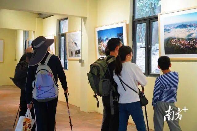 一专线来五桂山解锁“绿野仙踪”不朽情缘游戏网站登录一山一道(图6)